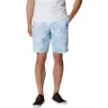 Columbia Washed Out Printed Shorts