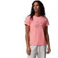 Columbia Sloan Ridge Graphic Kortarmet T-skjorte
