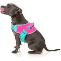 Fuzzyard Bubblegum Hundesele