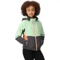 Regatta Haydenbury Softshelljakke