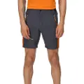 Regatta Highton Pro Shorts