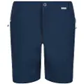 Regatta Highton Mid Shorts