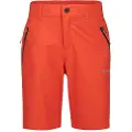 Icepeak Konz Shorts