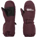 Jack Wolfskin 2l Winter Votter