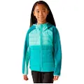 Regatta Kielder Hybrid Ix Jakke