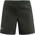 Salewa Puez Talveno 4 Shorts