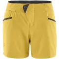 Klättermusen Vanadis 2.0 Shorts