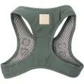 Fuzzyard Life Life Cotton Step In Hundesele