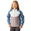 Regatta Kielder Hybrid Viii Jakke