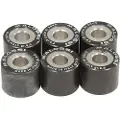MALOSSI M6611095f Variatorruller 6 Enheter