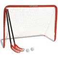 My Hood Hockey Goal
