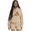 Adidas Essentials Big Logo French Terry Loose Hettegenser