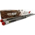 Andreani 106/kt2r Fjærings Cartridge Kit