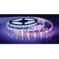 Scandvik Blå/hvit Led-stripe