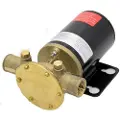 Johnson Pump F38b-19 Impellerpumpe