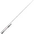 Daiwa Saltist Tenya Spinnestang