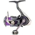 Daiwa Prorex V Lt 2022 Fiske Spinnehjul