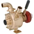 Liverani Nautic 40 F Pumpe
