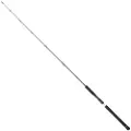 Daiwa Legalis Sakte Jiggingstang