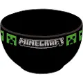 Minecraft - Bowl (446)