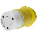 Hubble Polykarbonatplugg 16a