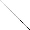 Sakura Ryokan Sw Jigging Stang