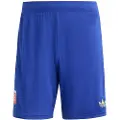 Adidas Olympique De Lyon 25/26 Anniversary Shorts
