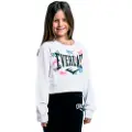 Everlast Lfs Fw Rainbow Collegegenser