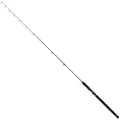 Penn Regiment Iii Sld Carbon Boat Spinnestang