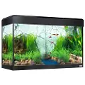Fluval Roma Led Bluetooth 125l Akvarium