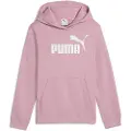 Puma Ess Nº 1 Logo Hettegenser