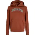 Jack & Jones Caleb Varsity Hettegenser