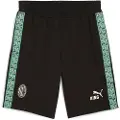 Puma Ac Milan King Shorts
