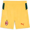 Puma AC Milan 25/26 Shorts Men, Sport, Sunny Yellow/Dark Myrtle, M