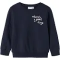 Name it Økologisk Bomull Sweatshirt
