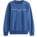 Tommy Hilfiger for man. MW0MW11596 Flex sweatshirt with blue logo (S), Casual, Cotton