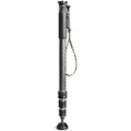 Gitzo Gm2542 Serie 2 Monopod