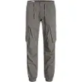 Jack & Jones Kane Noah Cuffed Cargobukser
