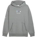 Puma BMW M Motorsport Essentials Fleece Hoodie Men, Collection, Medium Gray Heather, L