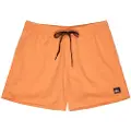Quiksilver Everyday Solid Volley 15 Boardshorts oransj