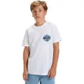 Quiksilver Ev In Flames Kids T-skjorte hvit