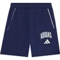 Adidas Seasonals Essentials Collegiate Typography Shorts