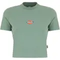 Dickies Maple Valley Kortarmet T-skjorte
