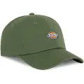 Dickies Hardwick Cap