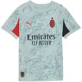 Puma AC Milan 25/26 Goalkeeper Jersey Youth, Clothing, Modern Mint/Red, 7-8Y