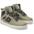 Dc-shoes Pure High-Top WR Winter Sko grønn