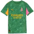 Puma AC Milan 25/26 Goalkeeper Jersey Youth, Clothing, Archive Green/Intense Orange, 7-8Y