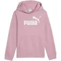 Puma Ess Nº 1 Logo Hettegenser