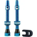 CushCore Presta Tubeless Ventiler