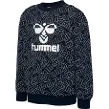 Hummel Carson Collegegenser